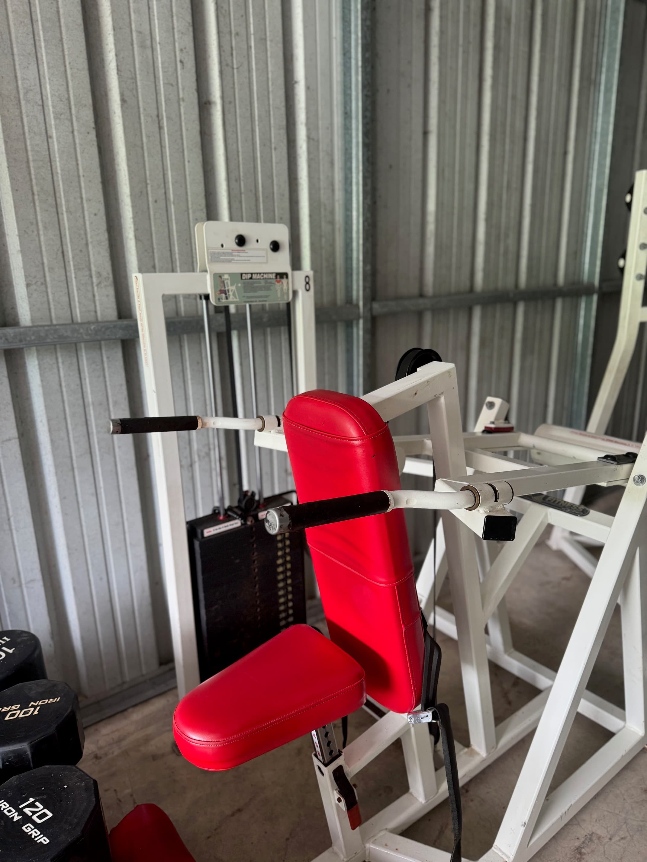 Flex Fitness Selectorized Tricep Dip RARE!!!!!