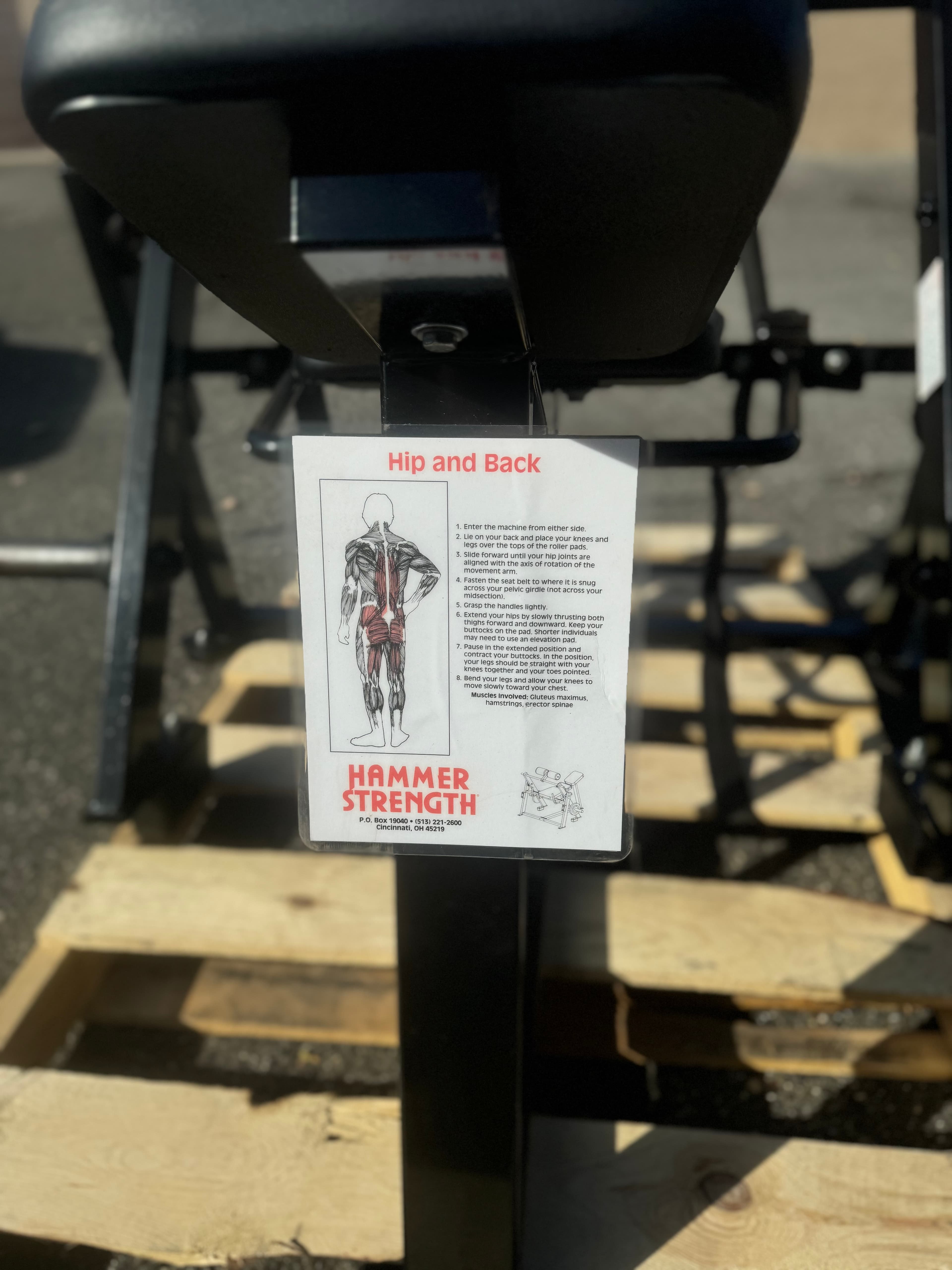 Hammer Strength Hip and Back thumbnail 4