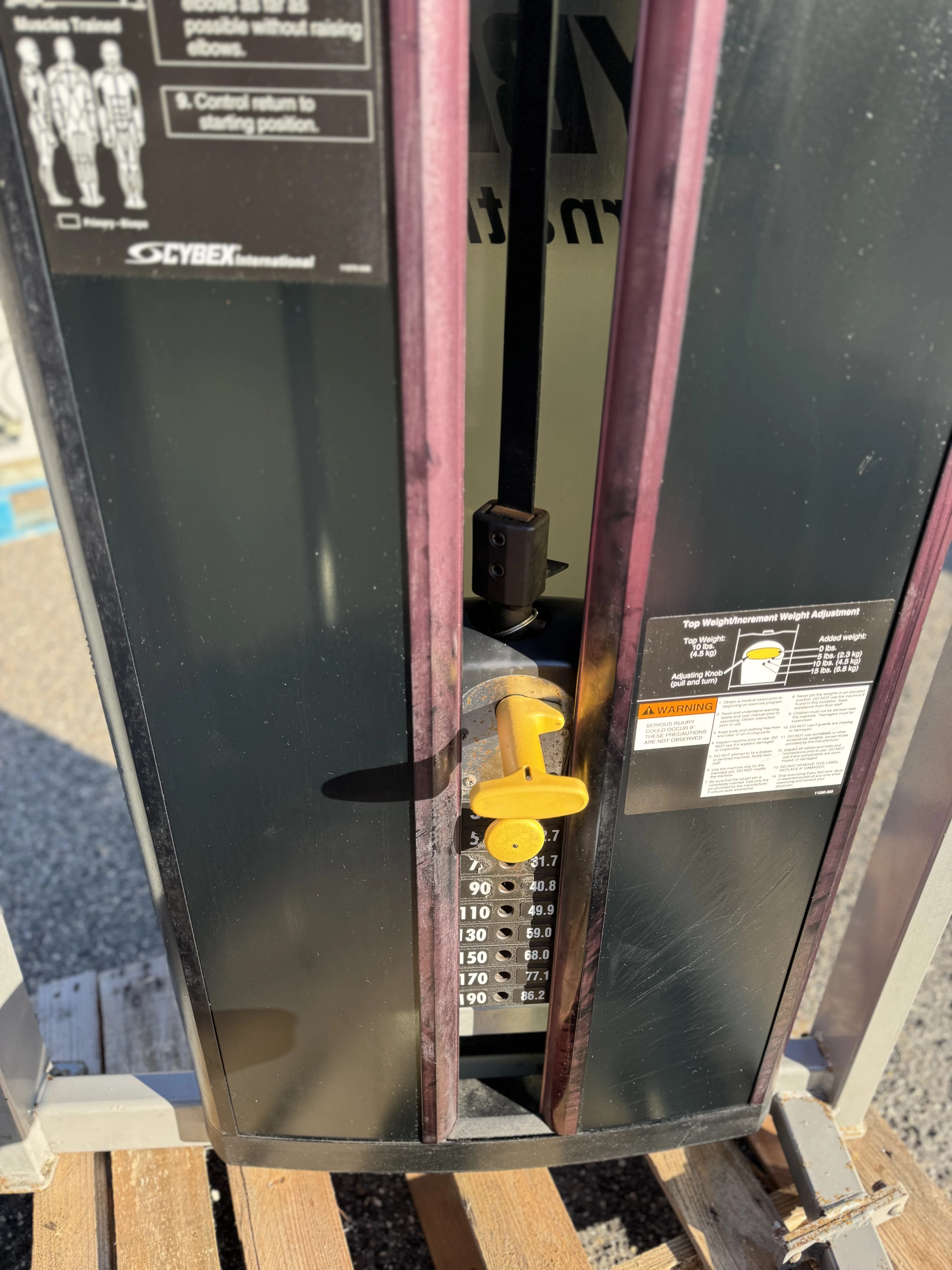 Cybex Eagle Bicep Curl thumbnail 3