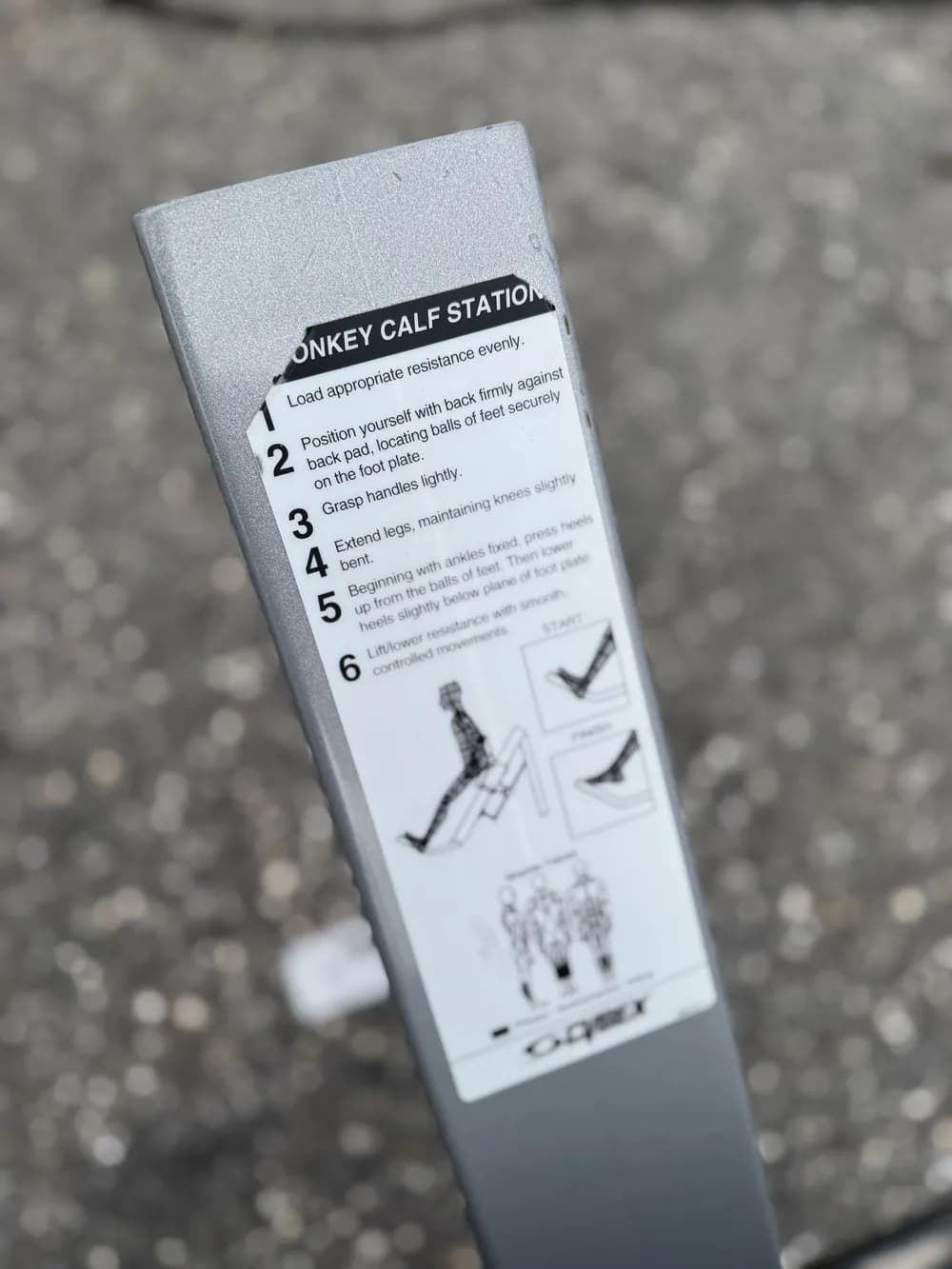 Cybex Donkey Calf thumbnail 3