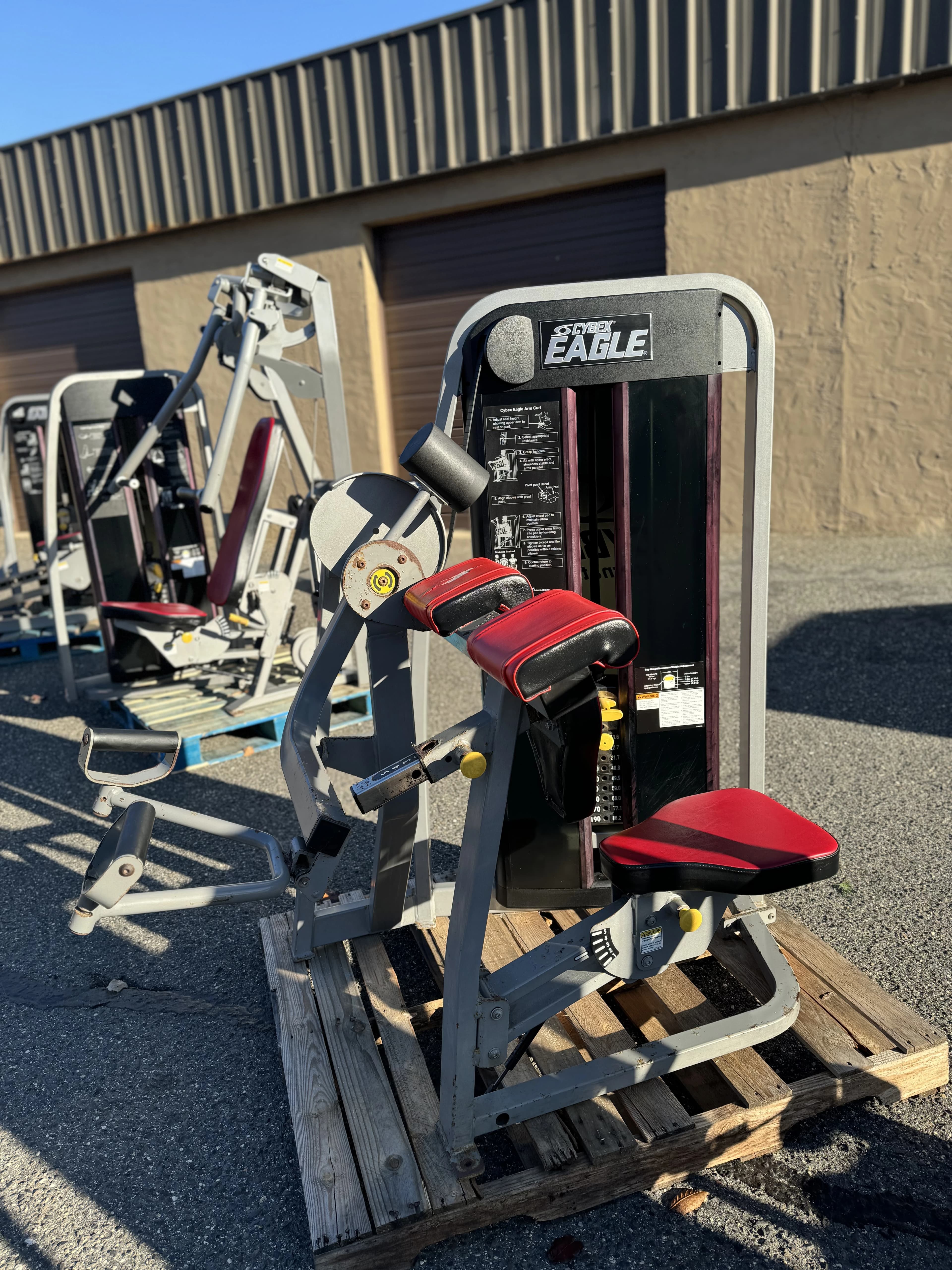 Cybex Eagle Bicep Curl