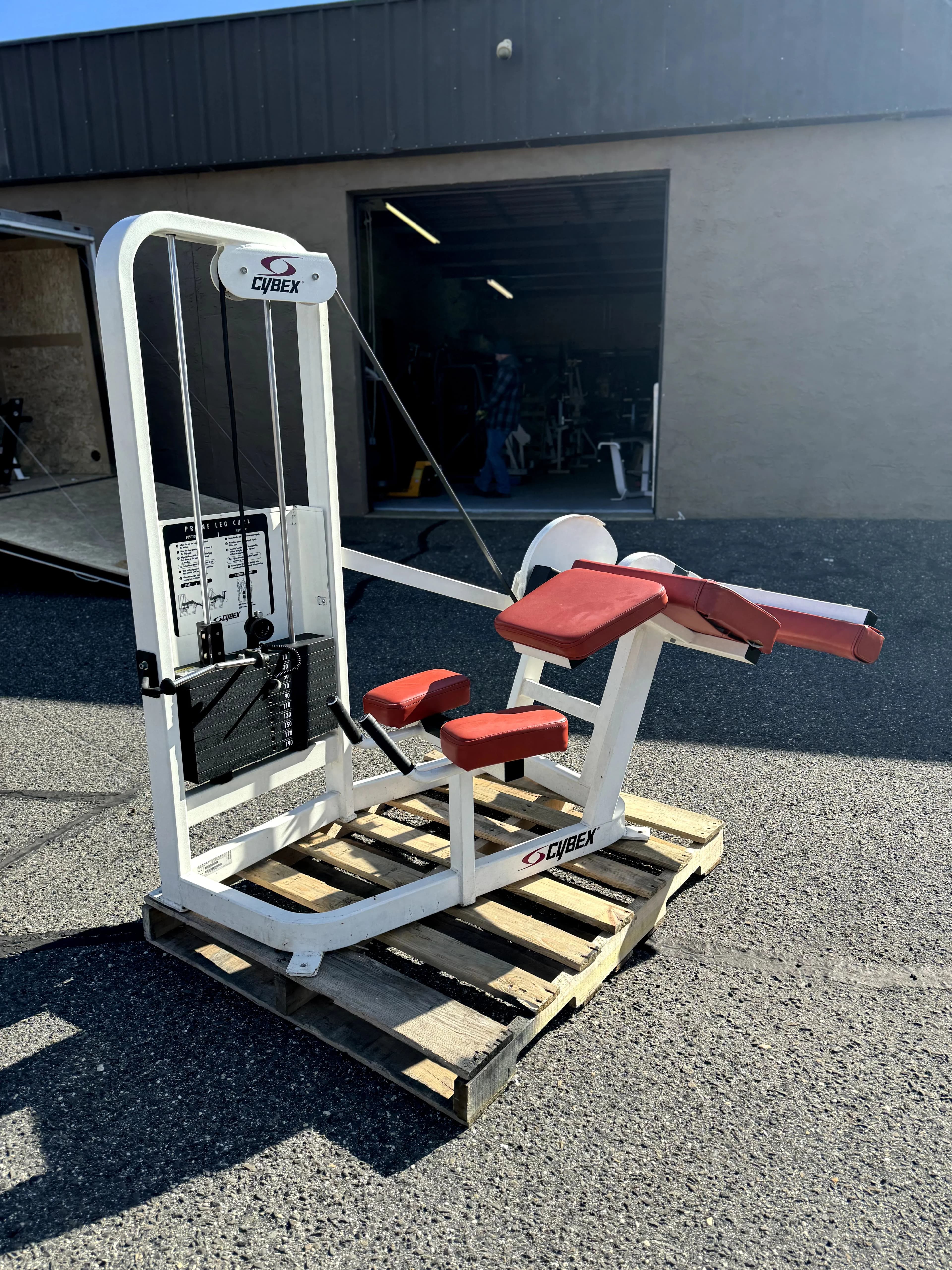 Cybex Prone Leg Curl thumbnail 4