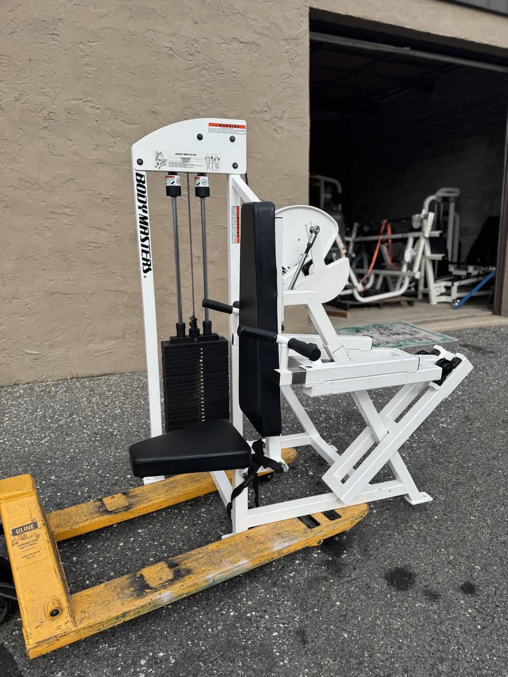 Bodymasters Selectorized Dip