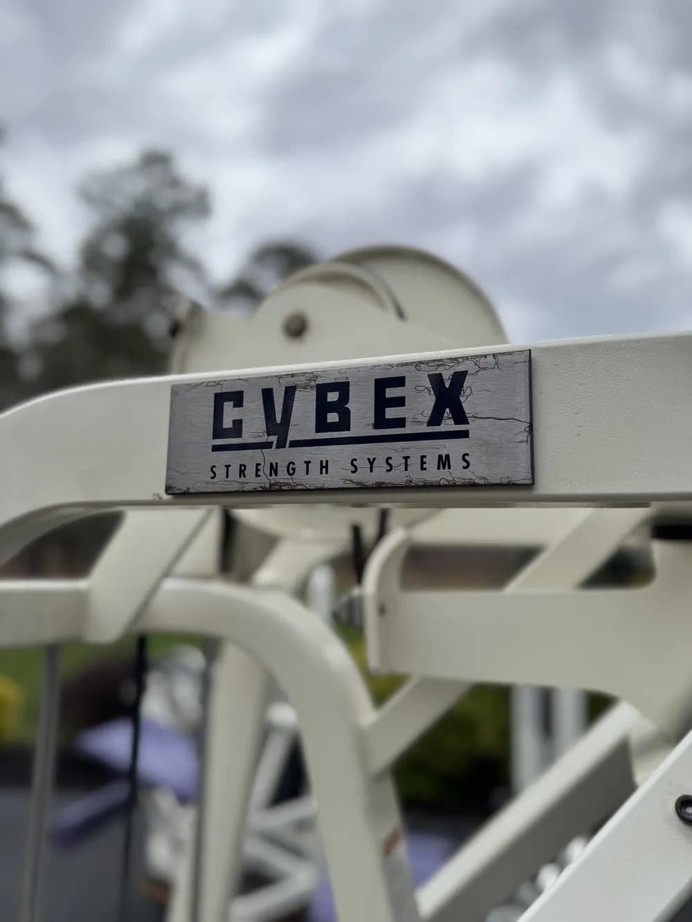 Cybex VR2 Rear Delt / Back Row thumbnail 2