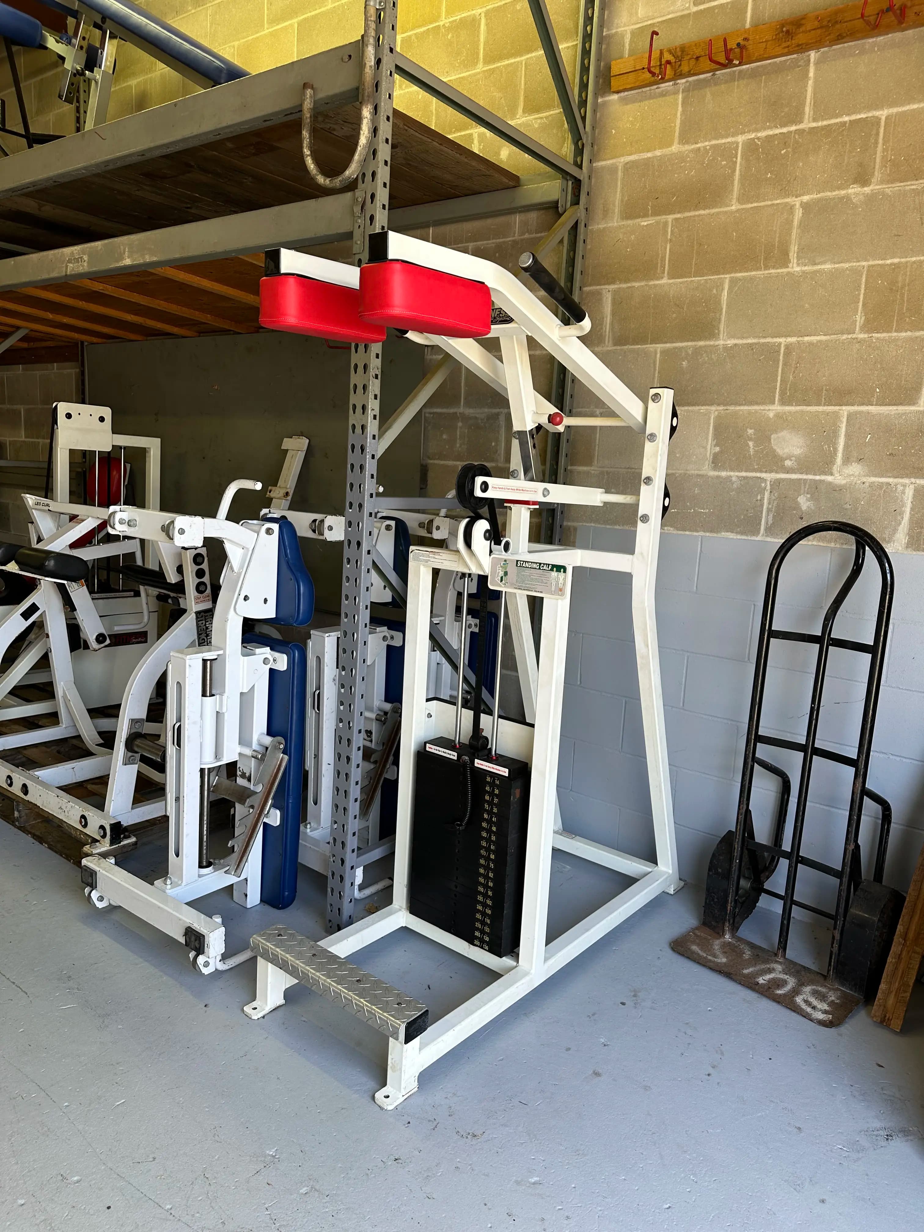 Flex Fitness Standing Calf Raise