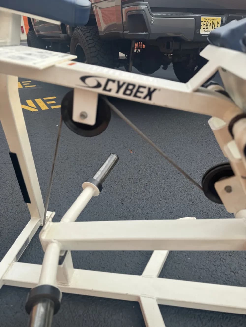 Cybex Kneeling Leg Curl