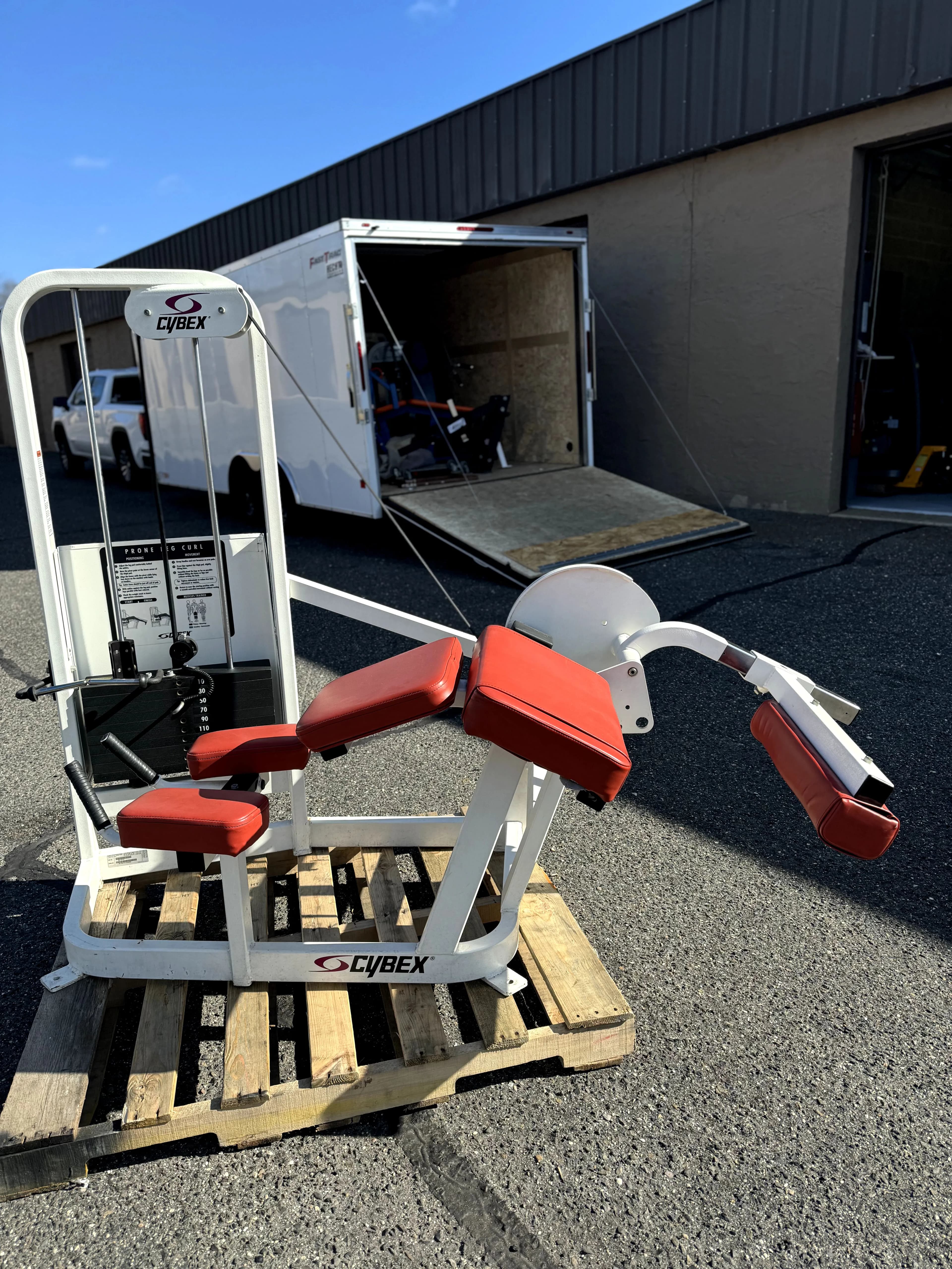 Cybex Prone Leg Curl