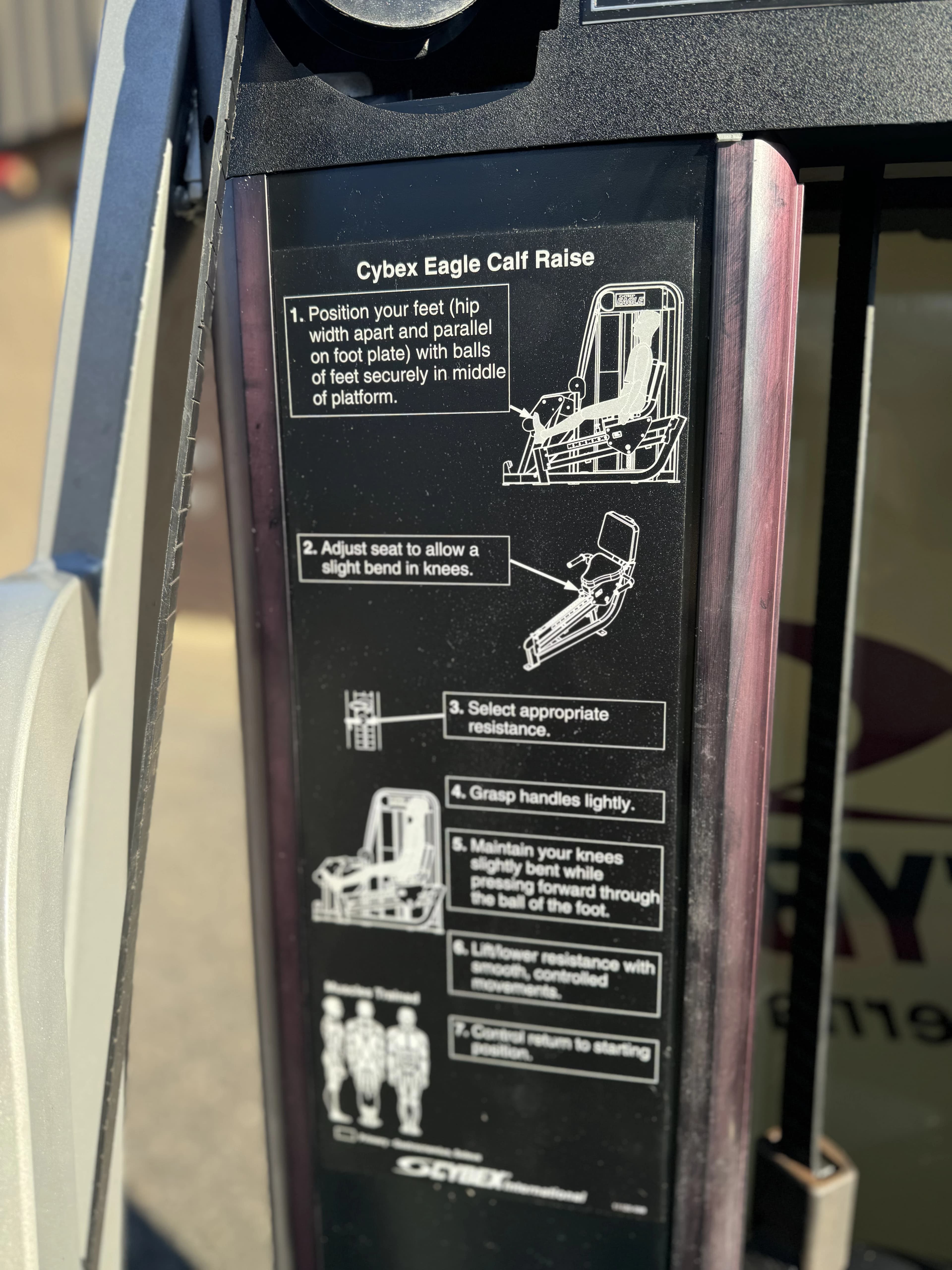 Cybex Eagle Horizonstal Calf Raise thumbnail 2