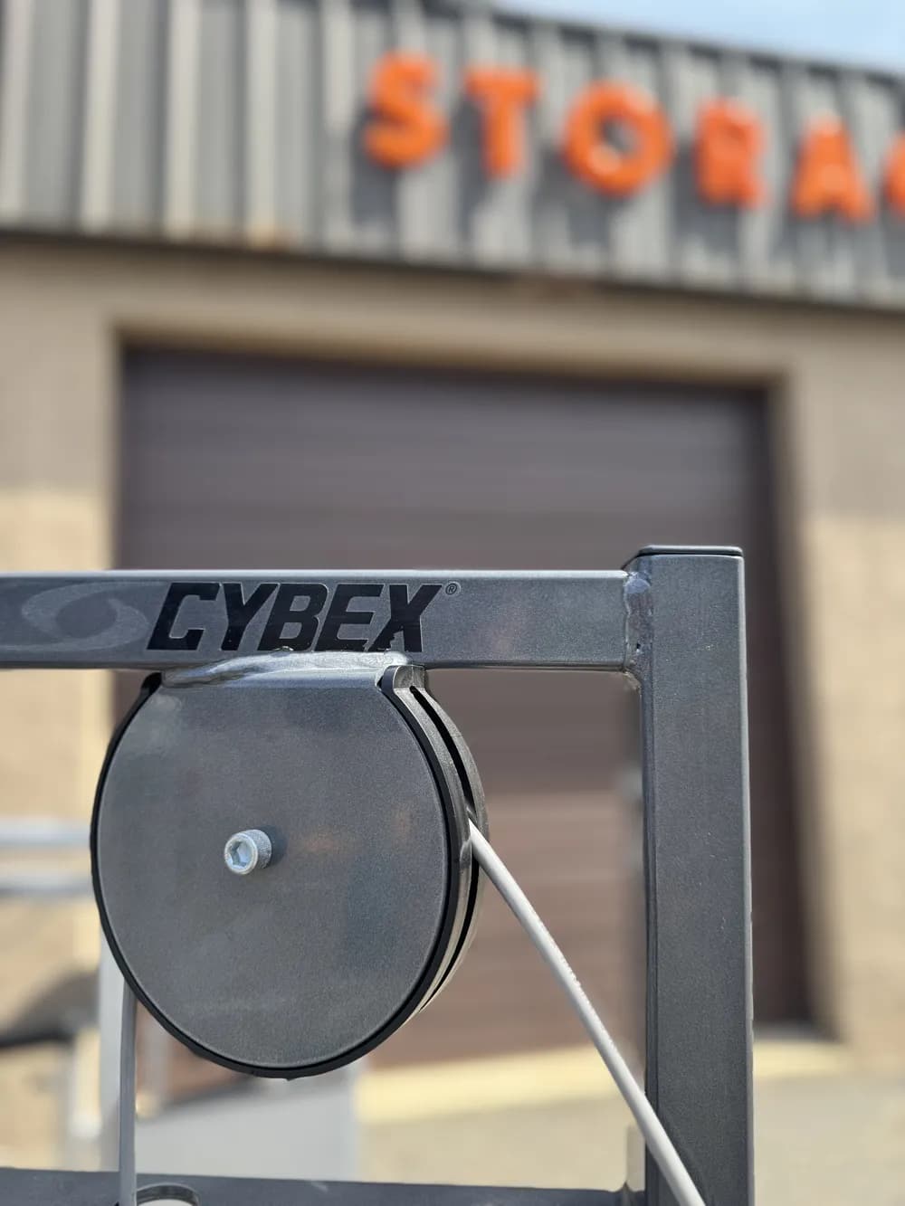 Cybex VR Prone Leg Curl