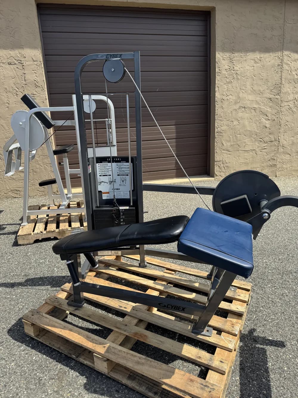 Cybex VR Prone Leg Curl thumbnail 3