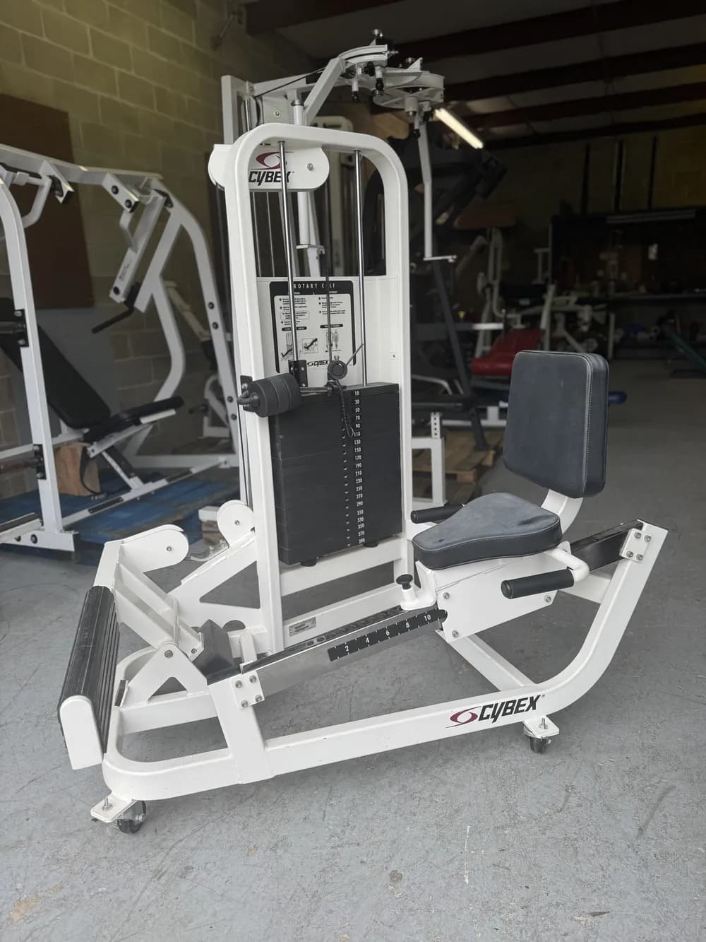 Cybex Rotary Calf