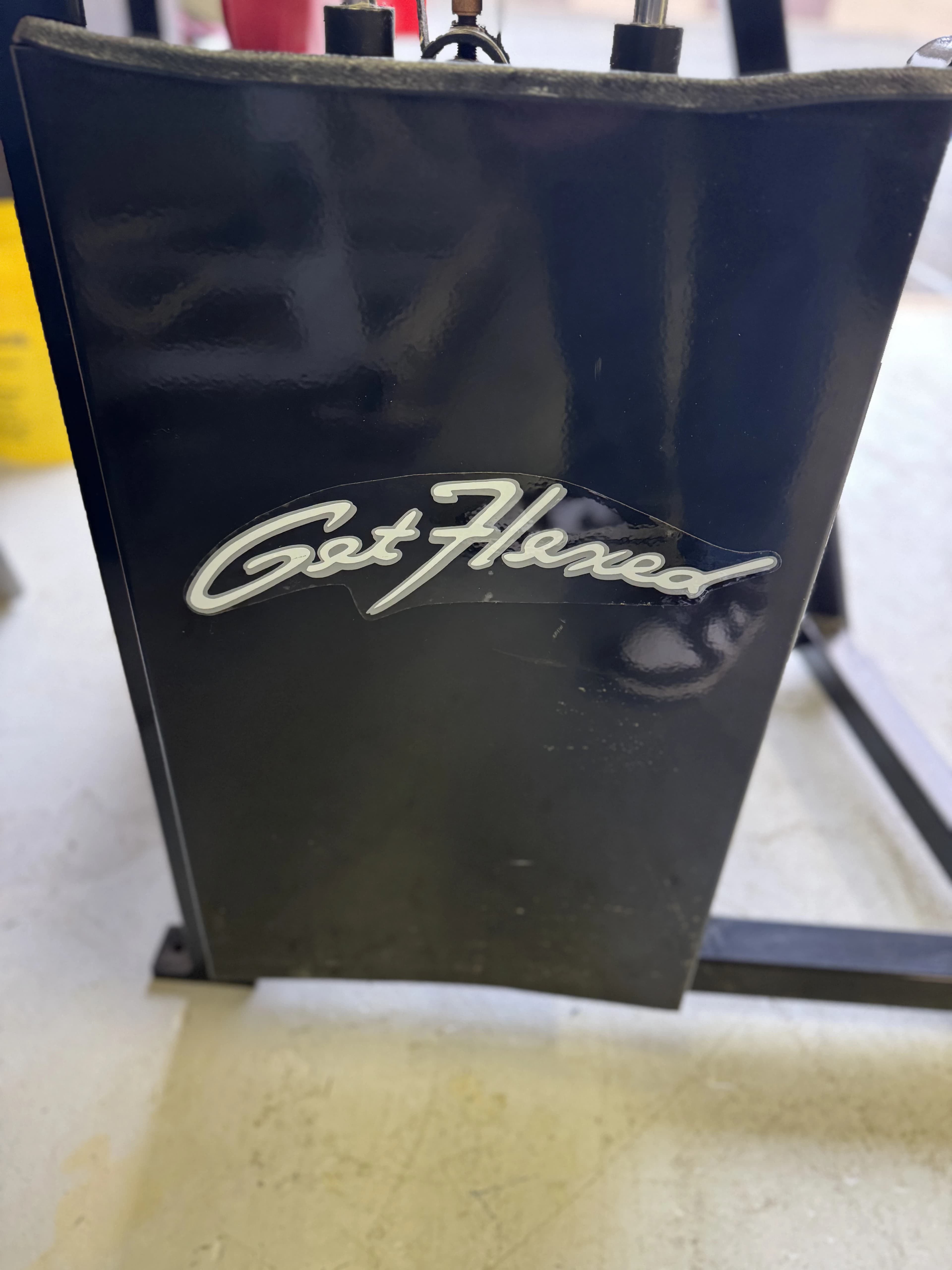 Flex Fitness Tricep Extension thumbnail 4