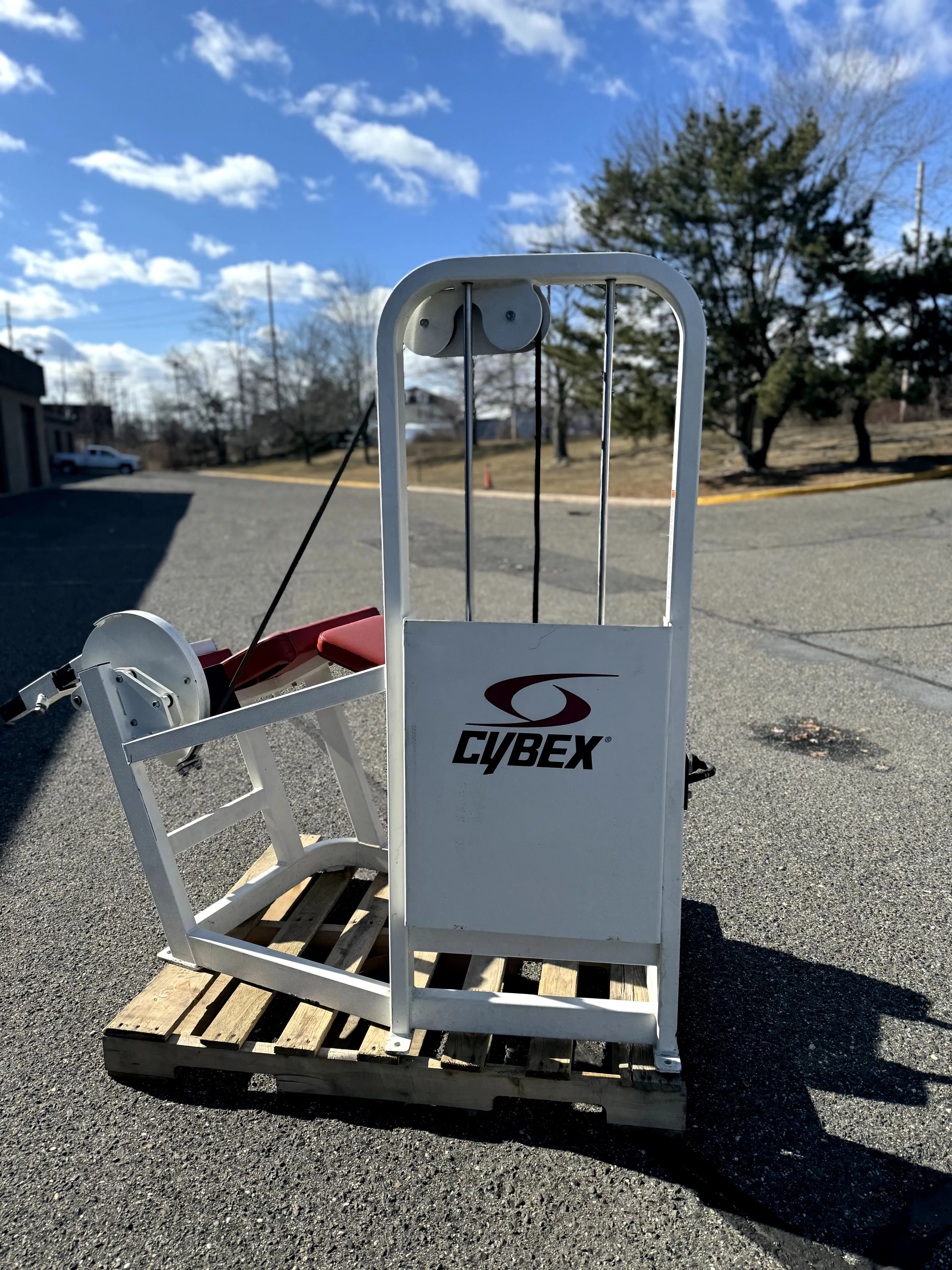 Cybex Prone Leg Curl thumbnail 5