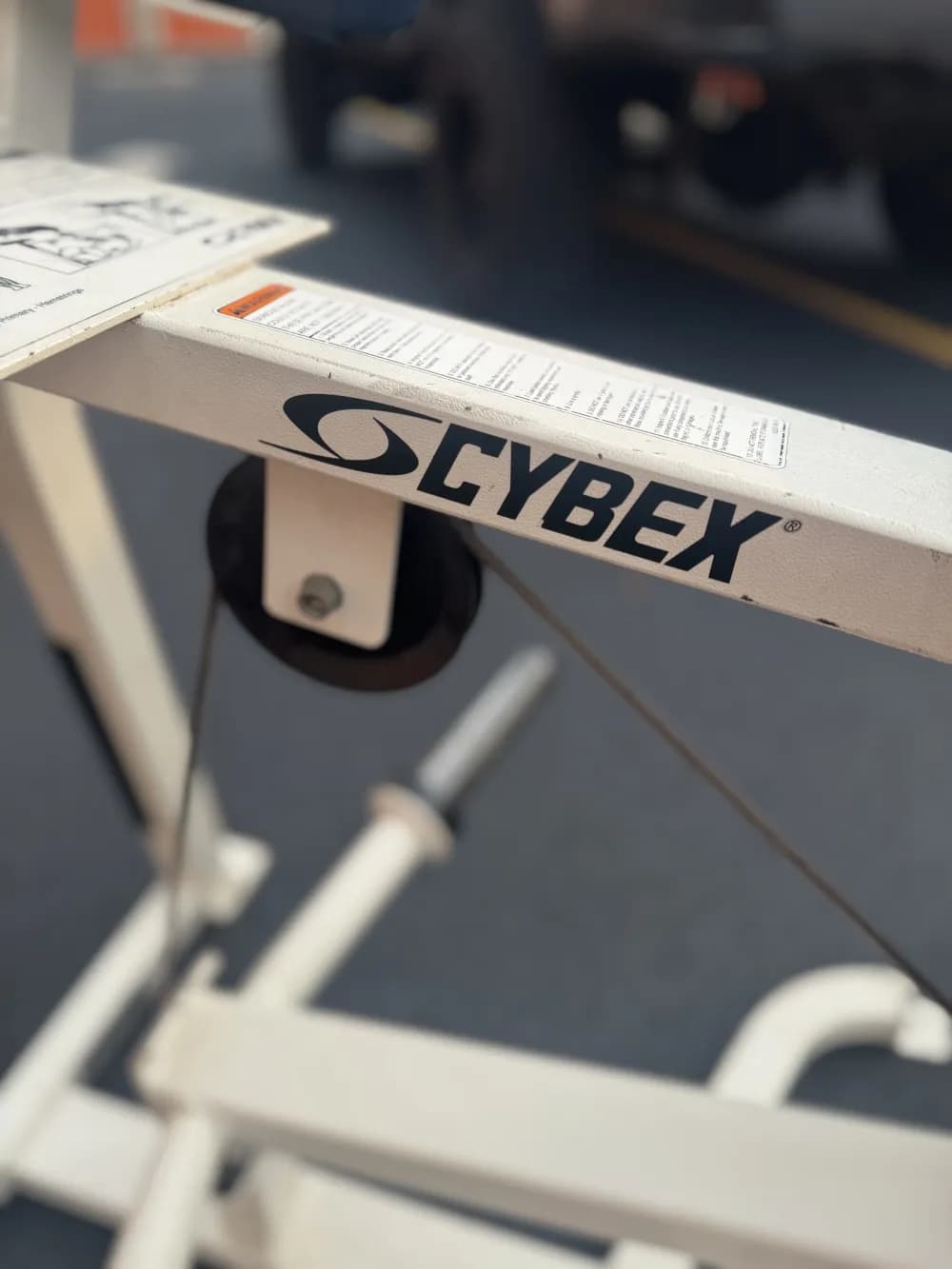 Cybex Kneeling Leg Curl thumbnail 3