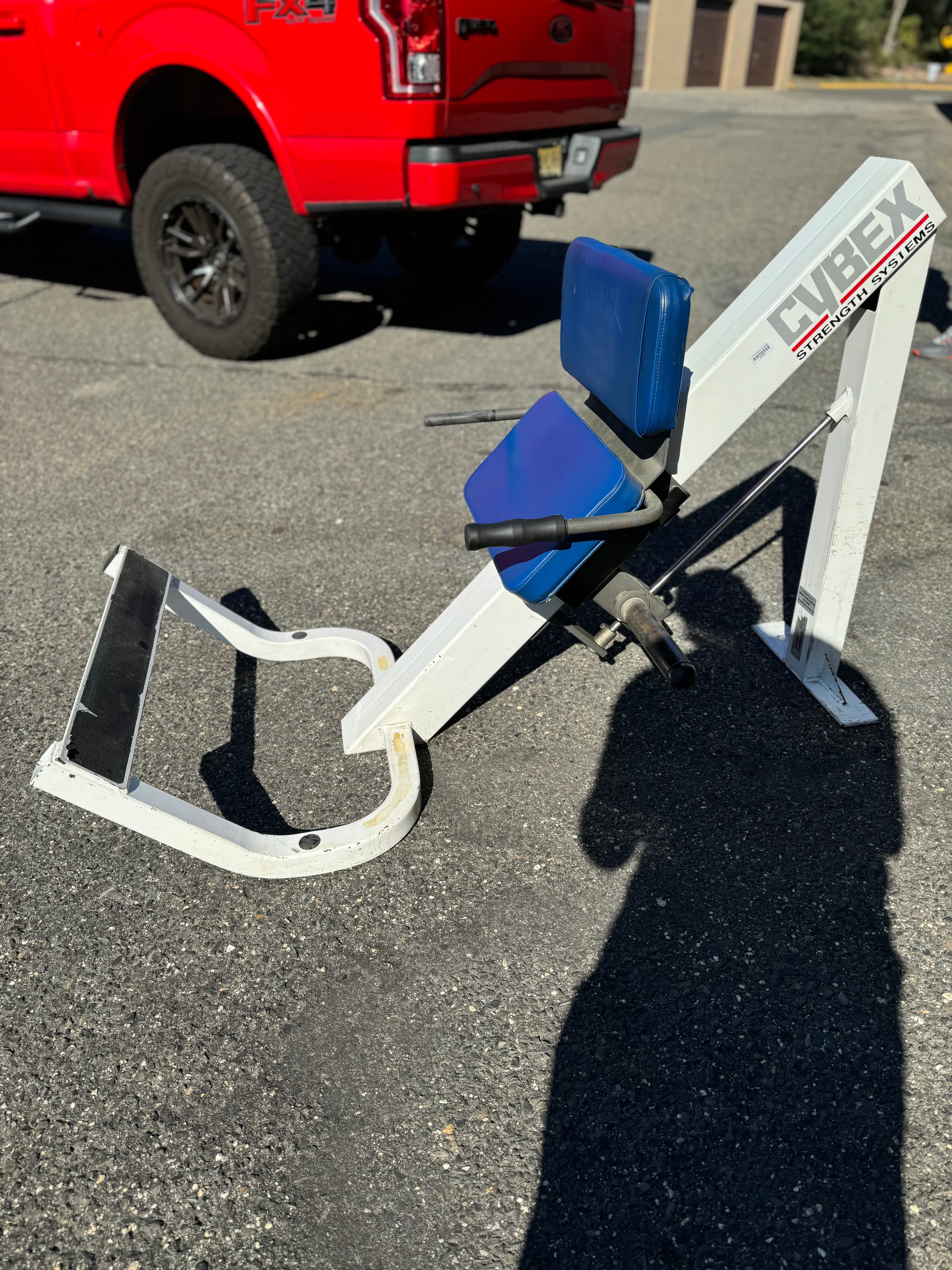 Cybex Donkey Calf RARE