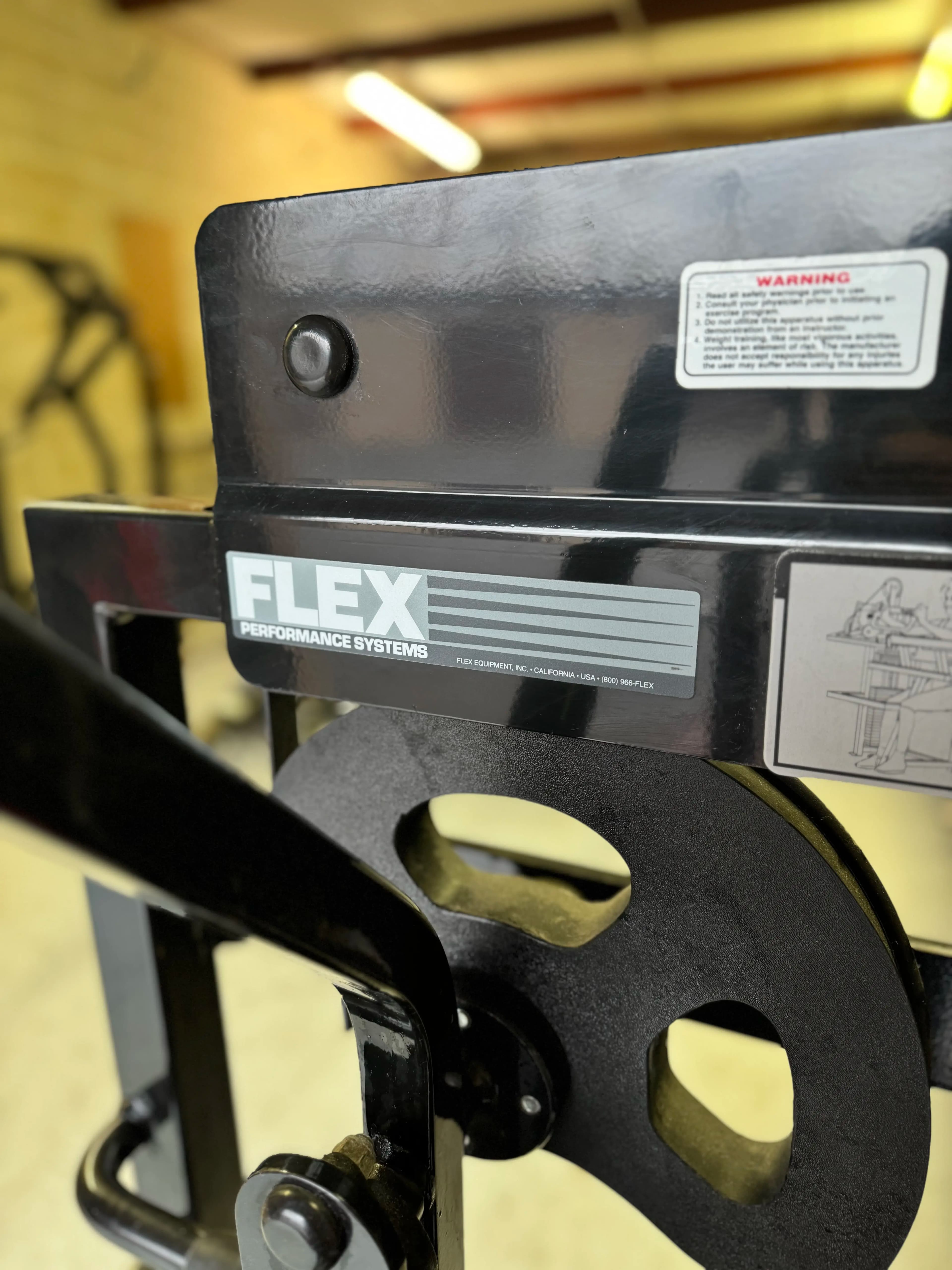 Flex Fitness Tricep Extension thumbnail 2