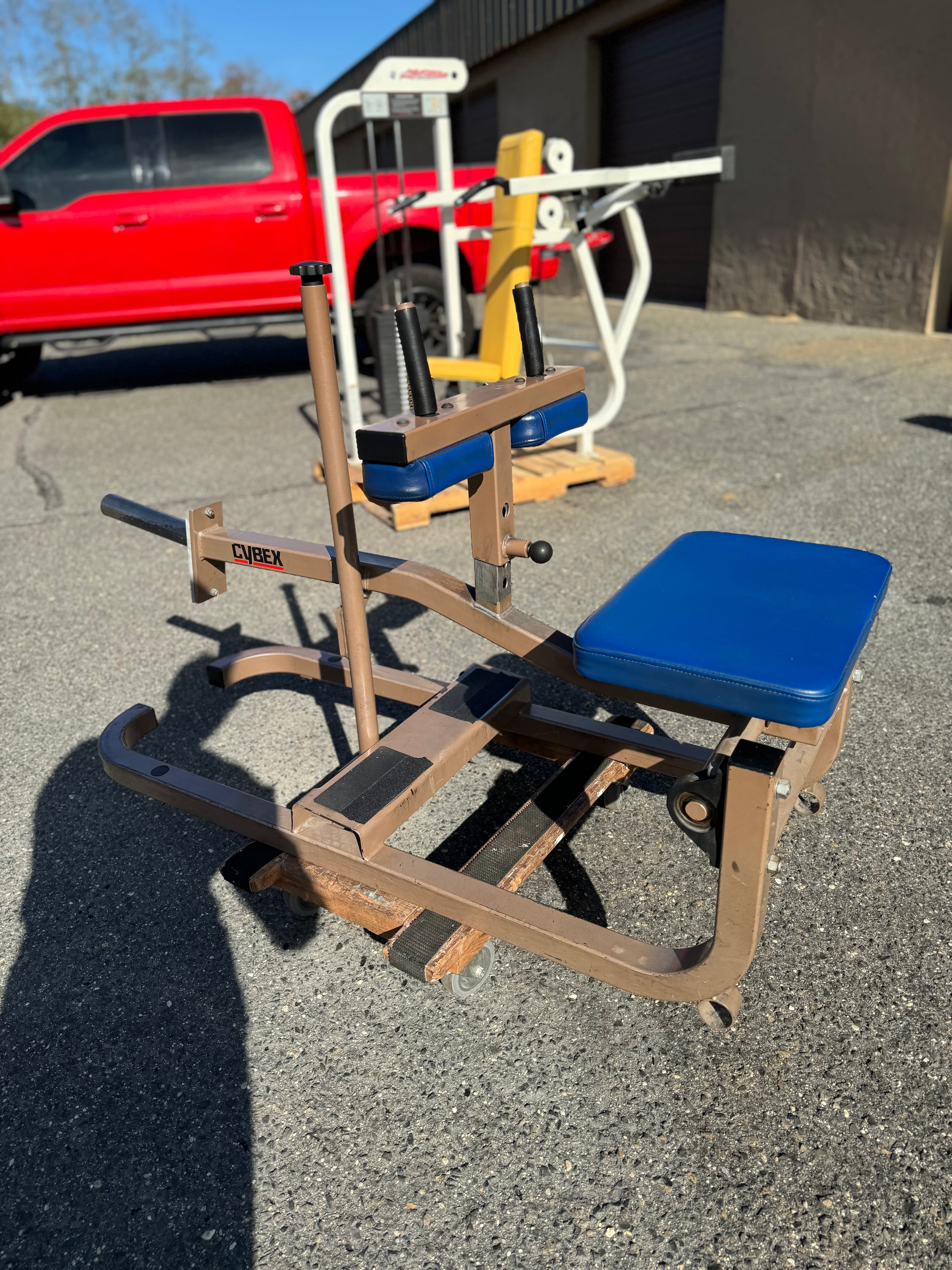 Cybex Eagle Calf Raise