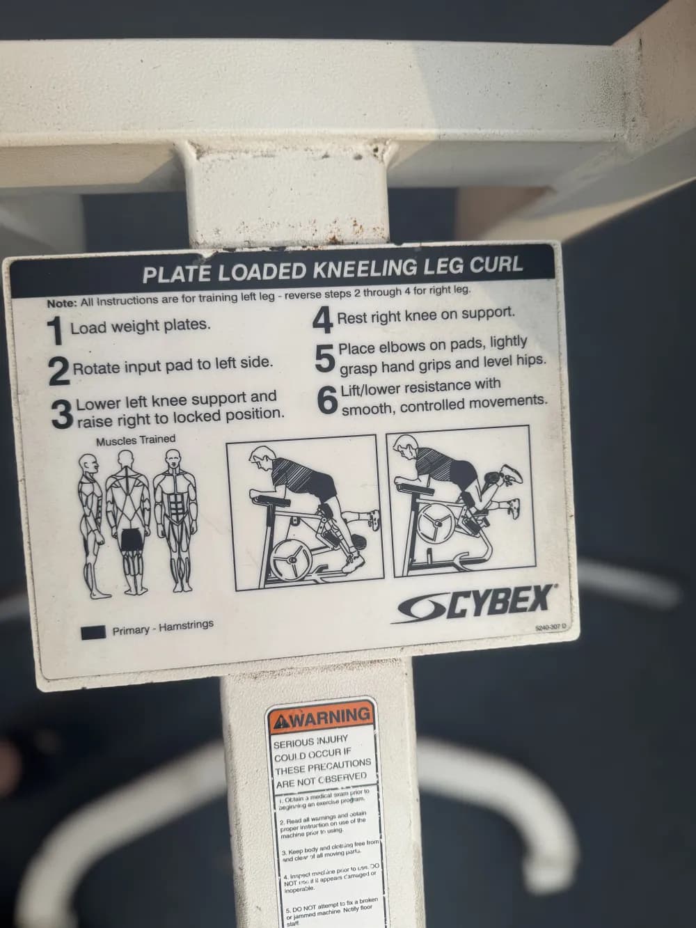 Cybex Kneeling Leg Curl thumbnail 4