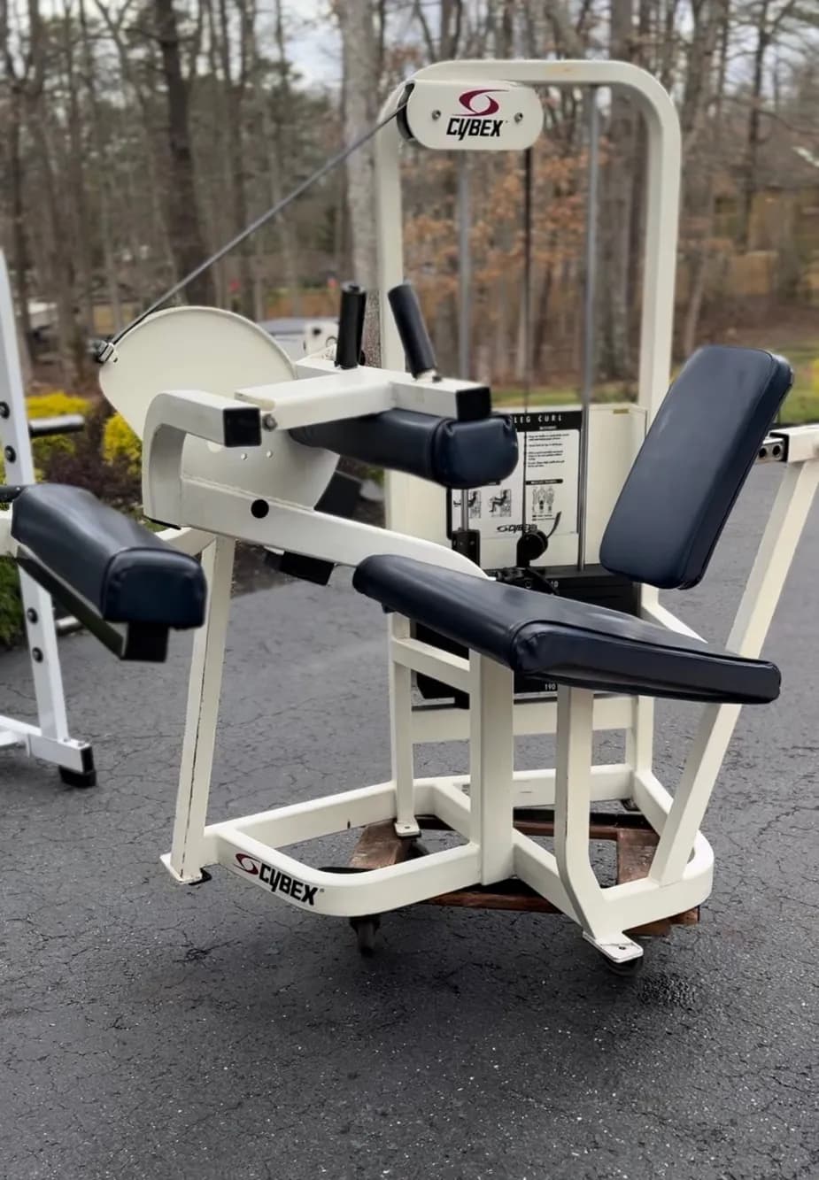 Cybex VR2 Leg Curl